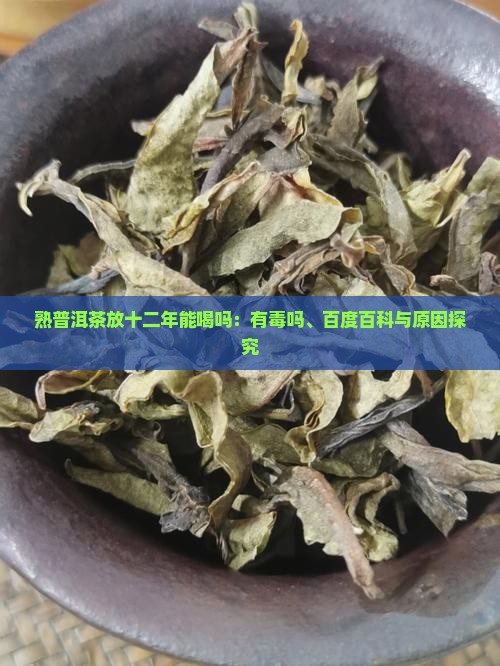 熟普洱茶放十二年能喝吗：有毒吗、百度百科与原因探究