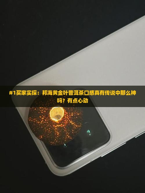 #1买家实探：邦海黄金叶普洱茶口感真有传说中那么神吗？有点心动