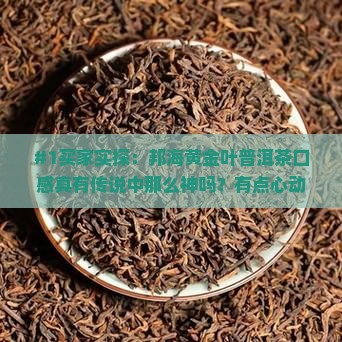 #1买家实探：邦海黄金叶普洱茶口感真有传说中那么神吗？有点心动