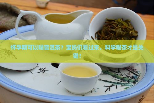 怀孕期可以喝普洱茶？宝妈们看过来，科学喝茶才是关键！