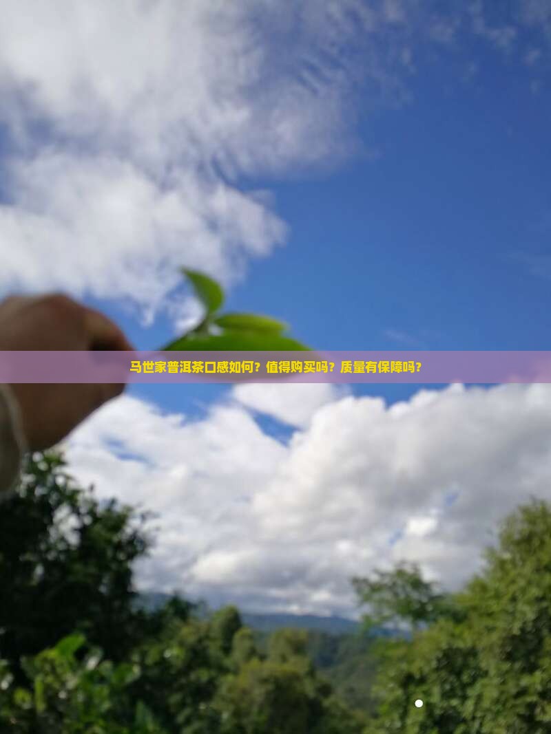 马世家普洱茶口感如何？值得购买吗？质量有保障吗？