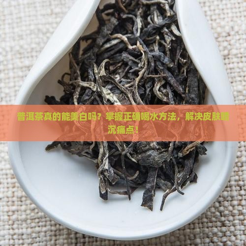 普洱茶真的能美白吗？掌握正确喝水方法，解决皮肤暗沉痛点！