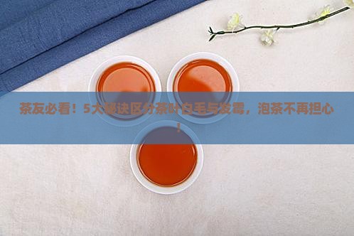 茶友必看！5大秘诀区分茶叶白毛与发霉，泡茶不再担心！
