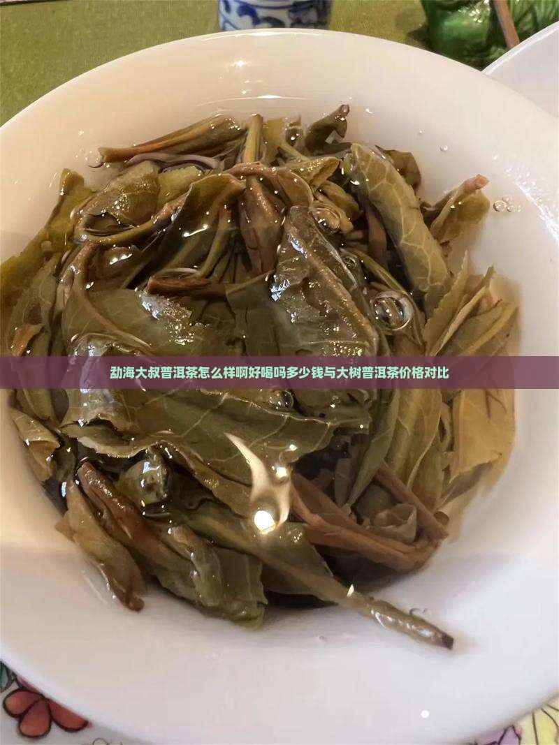 勐海大叔普洱茶怎么样啊好喝吗多少钱与大树普洱茶价格对比
