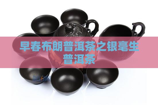 早春布朗普洱茶之银毫生普洱茶