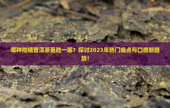 哪种柑橘普洱茶更胜一筹？探讨2023年热门痛点与口感新趋势！