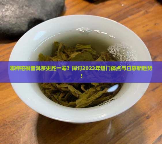 哪种柑橘普洱茶更胜一筹？探讨2023年热门痛点与口感新趋势！