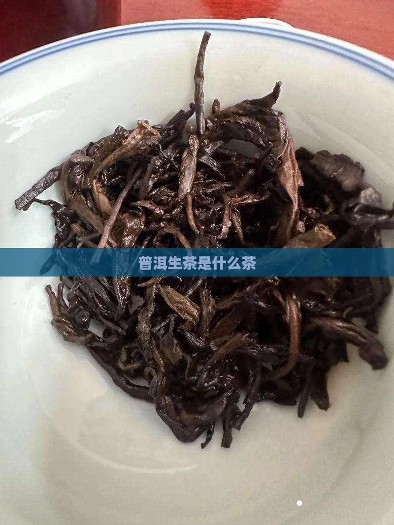 普洱生茶是什么茶