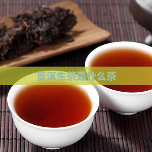 普洱生茶是什么茶