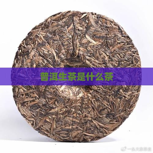 普洱生茶是什么茶