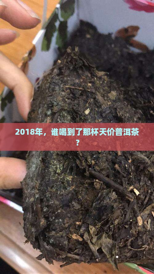 2018年，谁喝到了那杯天价普洱茶？