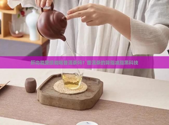肝功能受损能喝普洱茶吗？普洱茶的降脂减脂黑科技