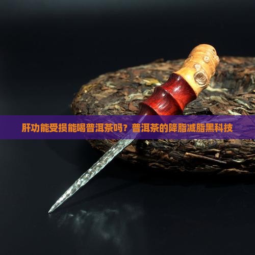 肝功能受损能喝普洱茶吗？普洱茶的降脂减脂黑科技