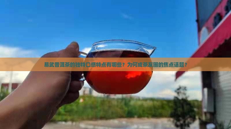 易武普洱茶的独特口感特点有哪些？为何成茶友圈的焦点话题？