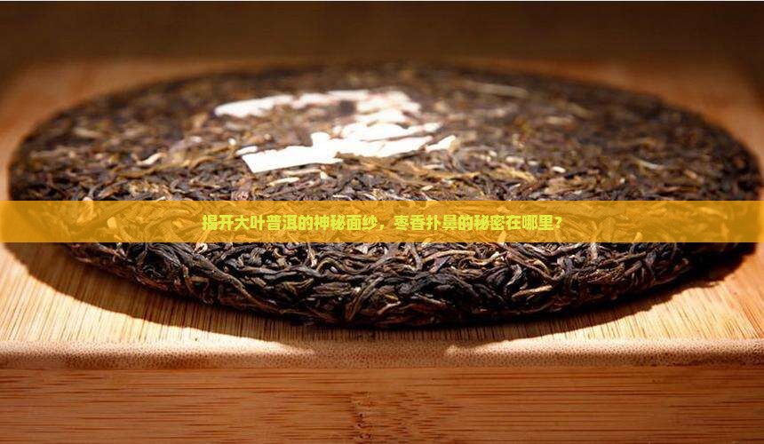 揭开大叶普洱的神秘面纱，枣香扑鼻的秘密在哪里？