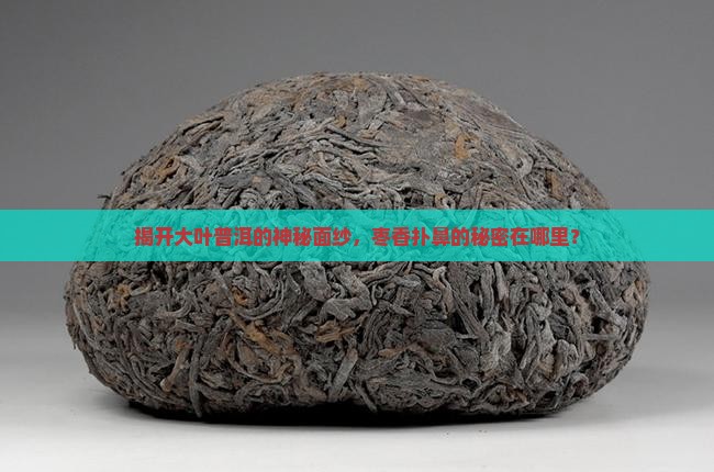 揭开大叶普洱的神秘面纱，枣香扑鼻的秘密在哪里？