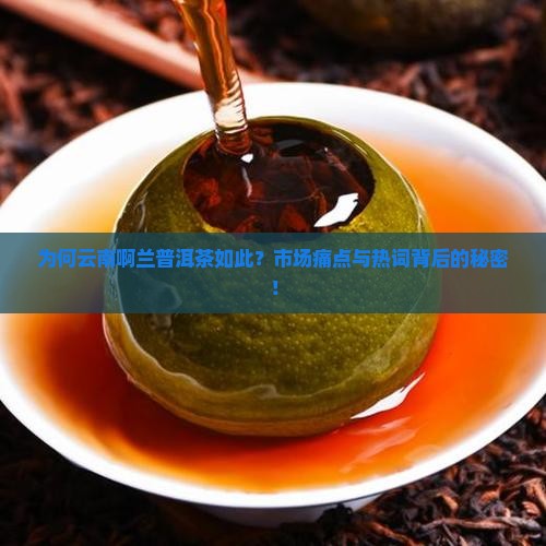 为何云南啊兰普洱茶如此？市场痛点与热词背后的秘密！