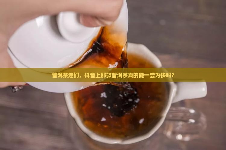 普洱茶迷们，抖音上那款普洱茶真的能一尝为快吗？