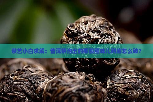 茶艺小白求解：普洱茶泡出的那股腥味儿到底怎么破？
