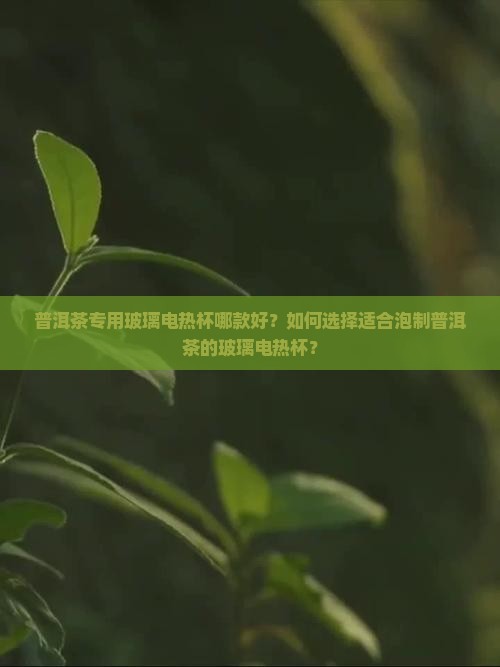 普洱茶专用玻璃电热杯哪款好？如何选择适合泡制普洱茶的玻璃电热杯？