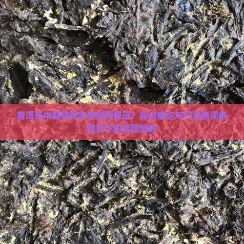 普洱茶中期茶稳定性如何保证？探讨痛点与行业热词新趋势下的保质策略