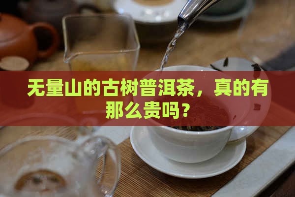无量山的古树普洱茶，真的有那么贵吗？