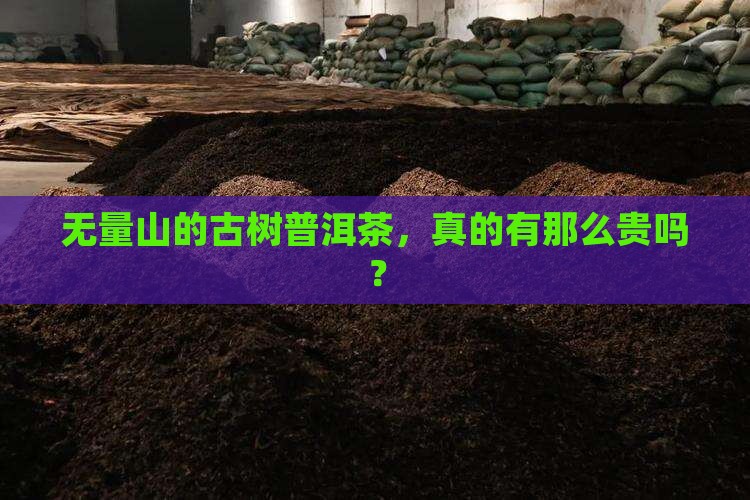 无量山的古树普洱茶，真的有那么贵吗？