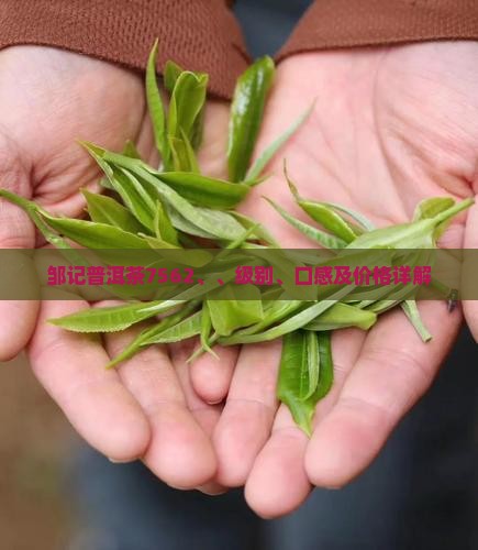 邹记普洱茶7562、、级别、口感及价格详解