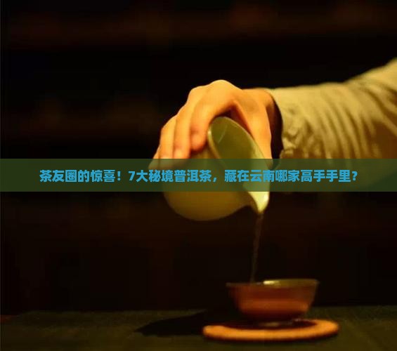 茶友圈的惊喜！7大秘境普洱茶，藏在云南哪家高手手里？