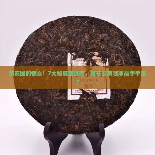 茶友圈的惊喜！7大秘境普洱茶，藏在云南哪家高手手里？