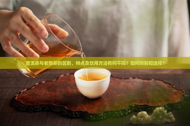 普洱茶与老熟茶的区别、特点及饮用方法有何不同？如何辨别和选择？