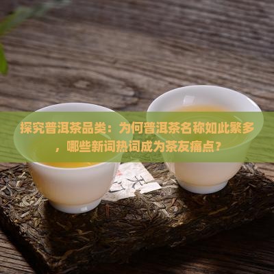 探究普洱茶品类：为何普洱茶名称如此繁多，哪些新词热词成为茶友痛点？