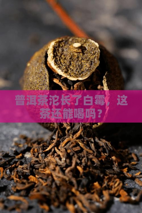 普洱茶沱长了白霉，这茶还能喝吗？