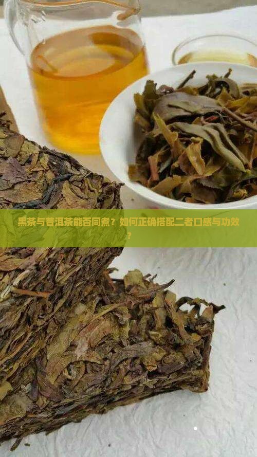 黑茶与普洱茶能否同煮？如何正确搭配二者口感与功效？