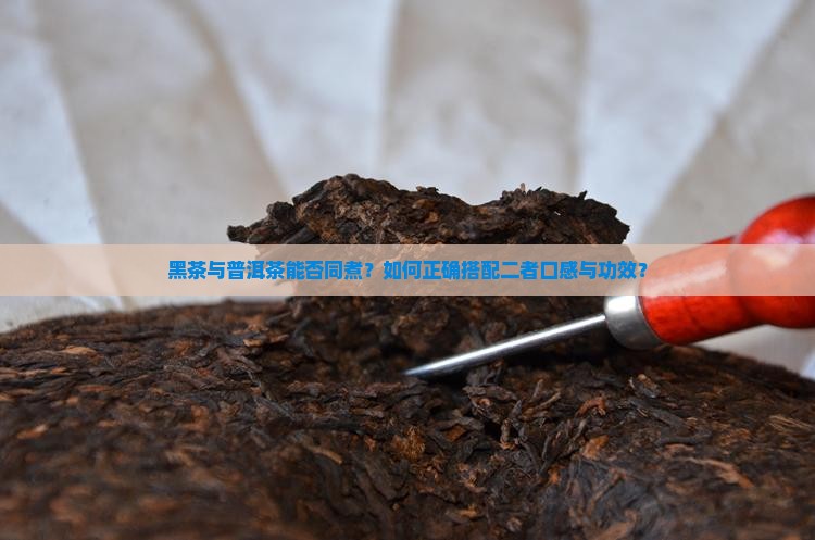 黑茶与普洱茶能否同煮？如何正确搭配二者口感与功效？