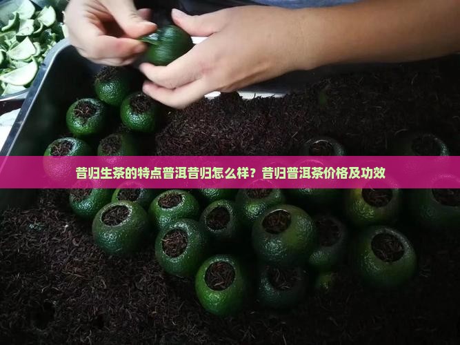 昔归生茶的特点普洱昔归怎么样？昔归普洱茶价格及功效