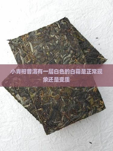 小青柑普洱有一层白色的白霜是正常现象还是变质