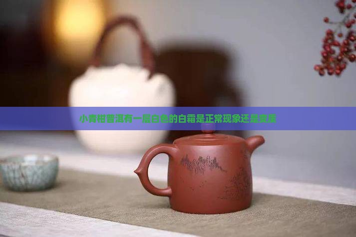 小青柑普洱有一层白色的白霜是正常现象还是变质