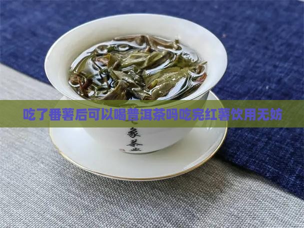 吃了番薯后可以喝普洱茶吗吃完红薯饮用无妨