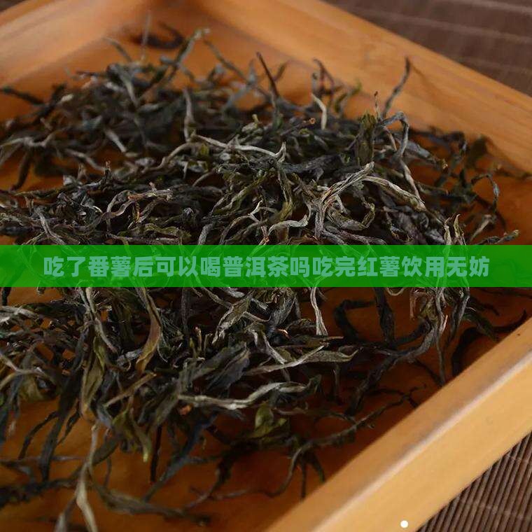 吃了番薯后可以喝普洱茶吗吃完红薯饮用无妨