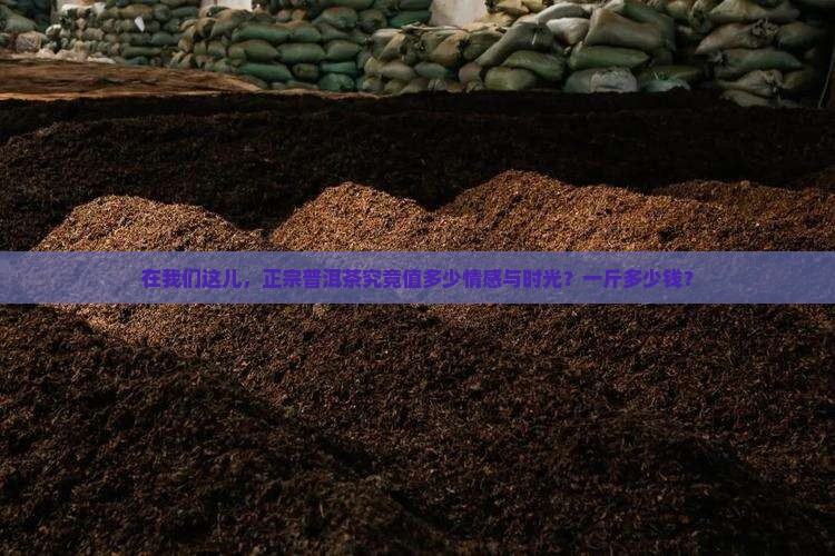 在我们这儿，正宗普洱茶究竟值多少情感与时光？一斤多少钱？