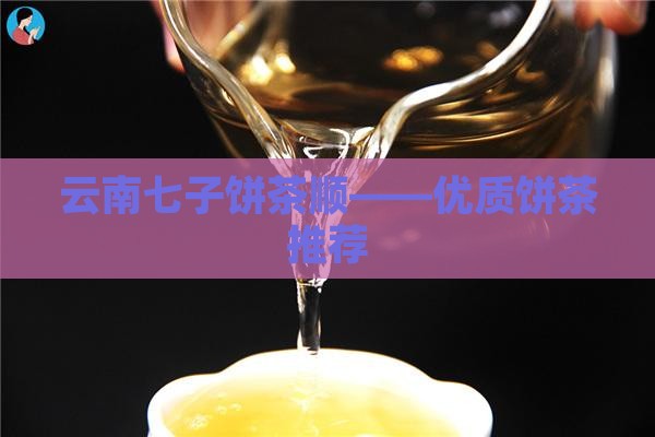 云南七子饼茶顺——优质饼茶推荐