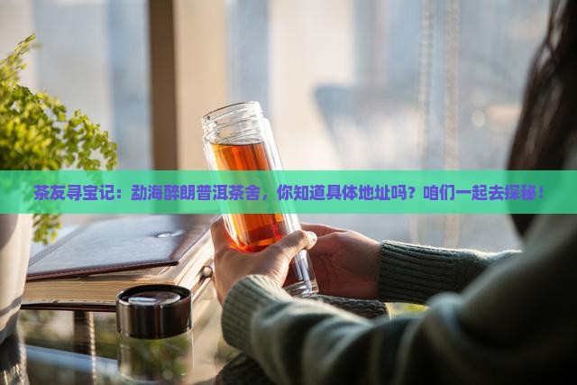 茶友寻宝记：勐海醉朗普洱茶舍，你知道具体地址吗？咱们一起去探秘！