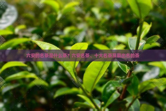 六安的名茶是什么茶？六安名茶、十大名茶及最出名的茶