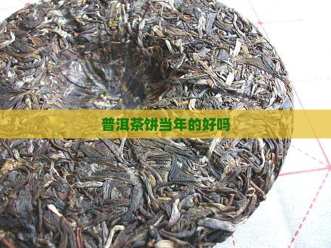 普洱茶饼当年的好吗