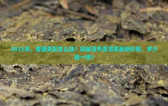 2023年，普通茶友怎么选？探秘曼秀普洱茶最新价格，多少钱一饼？