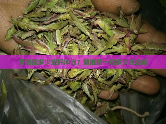 普洱茶多少克好冲泡？普洱茶一般多少克合适