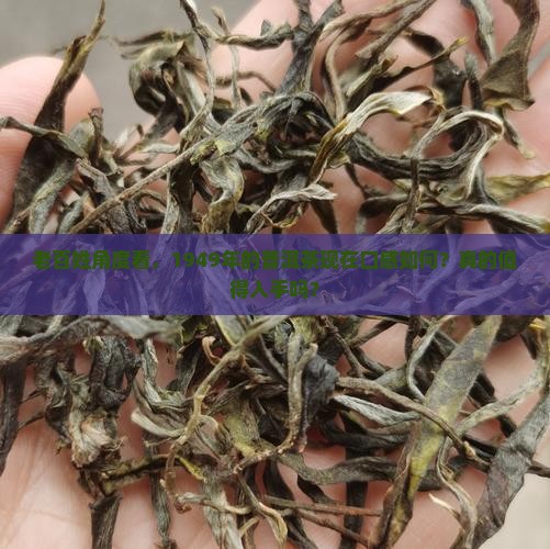 老百姓角度看，1949年的普洱茶现在口感如何？真的值得入手吗？