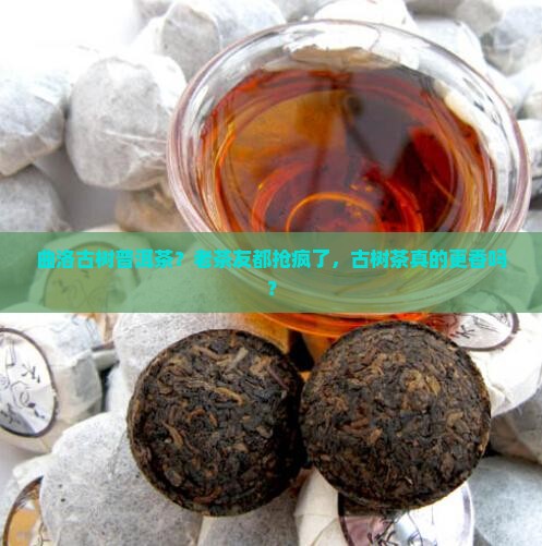 曲洛古树普洱茶？老茶友都抢疯了，古树茶真的更香吗？