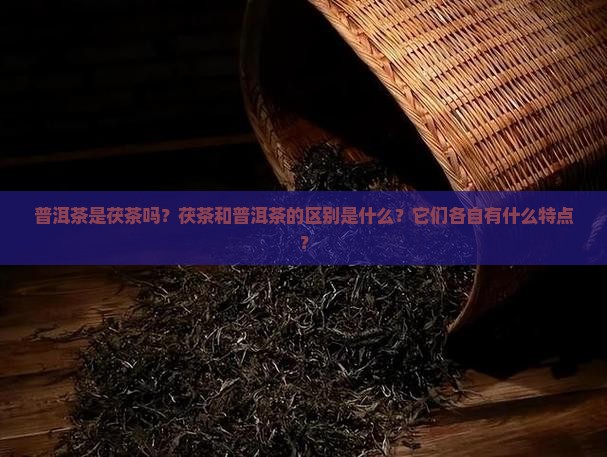 普洱茶是茯茶吗？茯茶和普洱茶的区别是什么？它们各自有什么特点？